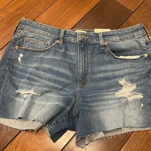 cute distressed shorts